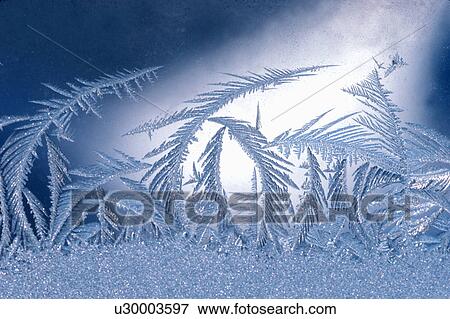 feathery frost winnipeg manitoba canada airy View Large Photo Image Stock Photo -  feathery frost winnipeg manitoba canada airy. Fotosearch