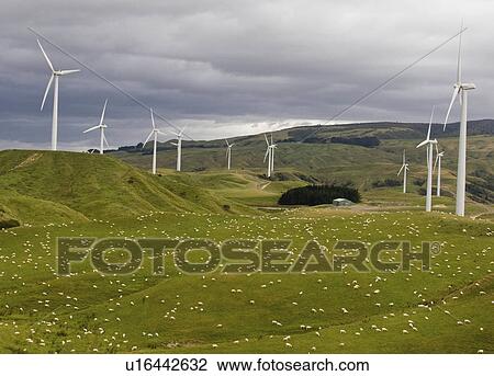 fitness technology new zealand north island twd View Large Photo Image Stock Image - fitness technology new zealand north island twd . Fotosearch