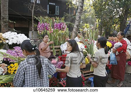 flower people person myanmar sellers shwedagon View Large Photo Image Stock Photo - flower people person myanmar sellers shwedagon . Fotosearch