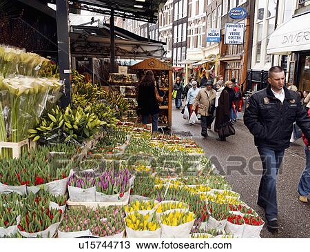 flower water vendor floating market amsterdam View Large Photo Image Stock Image - flower water vendor floating market amsterdam . Fotosearch