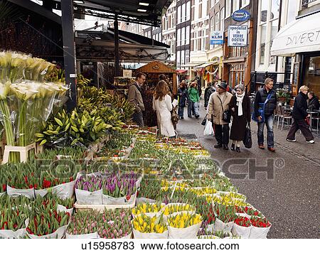 flower water vendor floating market amsterdam View Large Photo Image Stock Image - flower water vendor floating market amsterdam . Fotosearch