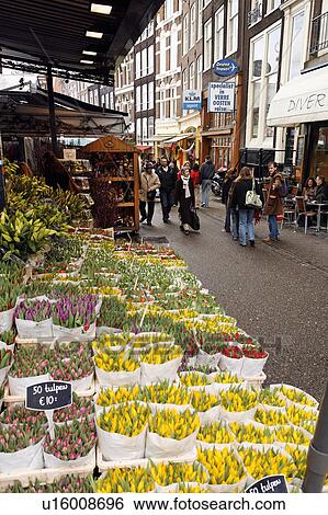 flower water vendor floating market amsterdam View Large Photo Image Stock Photograph - flower water vendor floating market amsterdam . Fotosearch