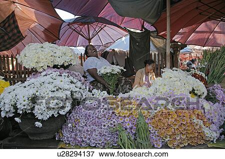 flower woman people border person women myanmar View Large Photo Image Stock Photo - flower woman people border person women myanmar. Fotosearch