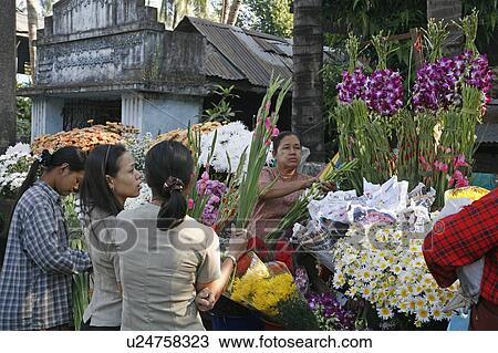 Stock Image -  flower woman people person women myanmar sellers. Fotosearch