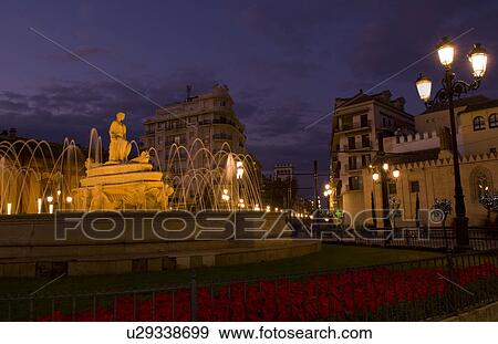 flowers beauty beautiful night time exposure View Large Photo Image Stock Photo - flowers beauty beautiful night time exposure . Fotosearch