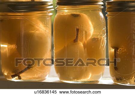 food fruit canned bartlet pears barlet harvest View Large Photo Image Stock Photography - food fruit canned bartlet pears barlet harvest. Fotosearch