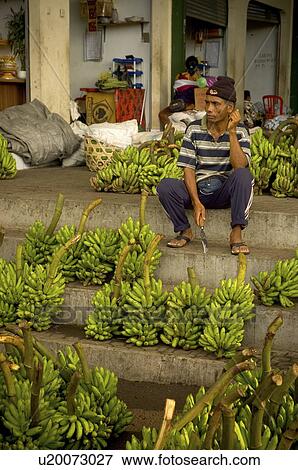 Stock Photo -  food fruit farmer selling green bananas bali. Fotosearch