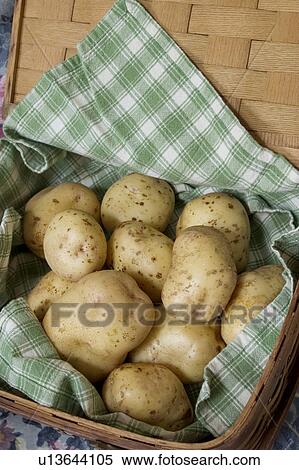 Stock Photography -  food fruit potatoes harvest harvested harvesting. Fotosearch