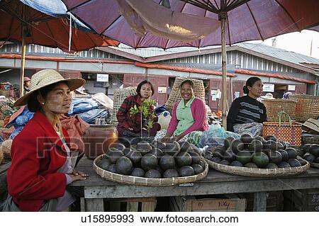 Stock Image -  food people border person myanmar avocado seller. Fotosearch