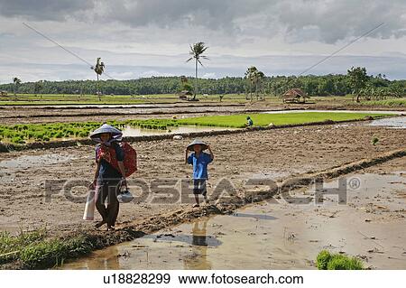 Stock Photo -  food people person women indonesia sunda west . Fotosearch