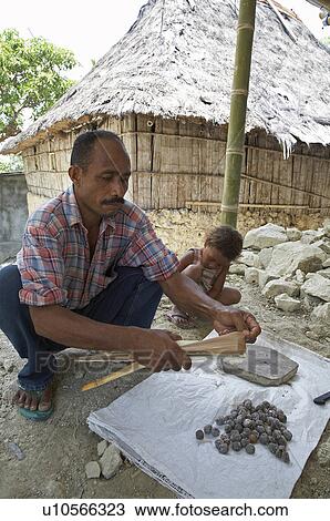 Stock Image -  food timor leste marcelino de costa candlenut. Fotosearch