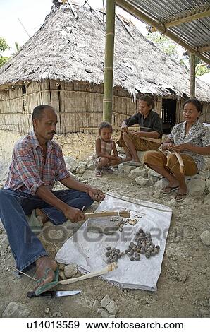 Stock Photo -  food timor leste marcelino de costa candlenut. Fotosearch