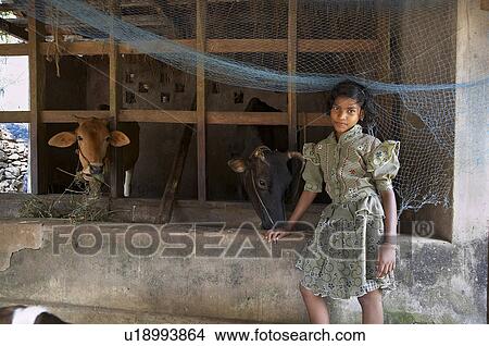 Picture -  girl india arya raghavan hindu feeding cows mary . Fotosearch