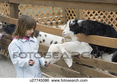 girl michigan city in washington park zoo par View Large Photo Image Stock Photograph - girl michigan city in washington park zoo par. Fotosearch