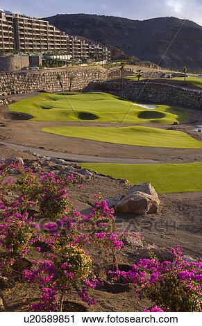 Stock Image -  golf flowers beautiful scenics brand new upscale. Fotosearch