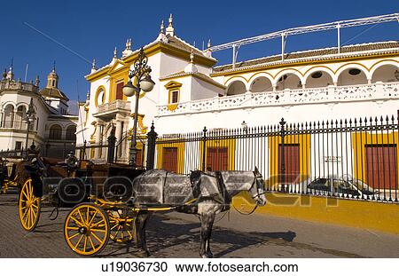 horse beauty colorful plaza de toros la bull View Large Photo Image Stock Image - horse beauty colorful plaza de toros la bull . Fotosearch