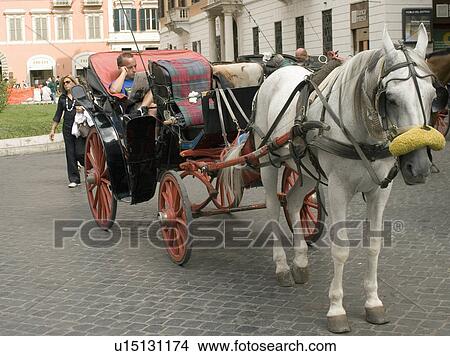 horse carriage piazza spagna rome horses travel  View Large Photo Image Picture -  horse carriage piazza spagna rome horses travel . Fotosearch