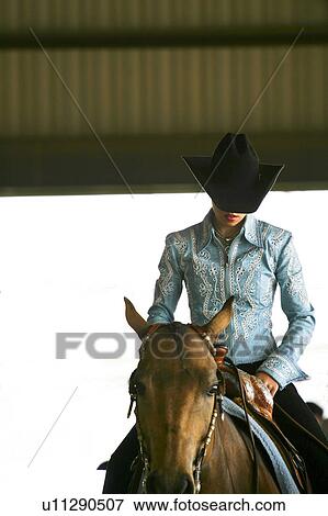 Stock Photo -  horse equestrian equinine animal western saddle. Fotosearch