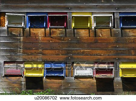 Stock Image -  house colored landing boards bee apiary animal . Fotosearch