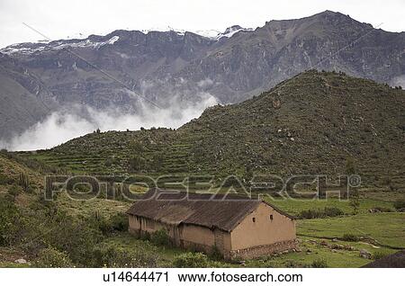 house peru small landscape in colca canyon latin View Large Photo Image Stock Image - house peru small landscape in colca canyon latin. Fotosearch