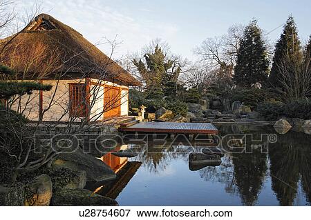 house tea pond in japanese garden designed house View Large Photo Image Stock Photo - house tea pond in japanese garden designed house . Fotosearch