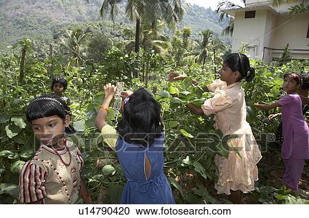 india girls woking in vegatble plot mary matha View Large Photo Image Stock Image -  india girls woking in vegatble plot mary matha. Fotosearch