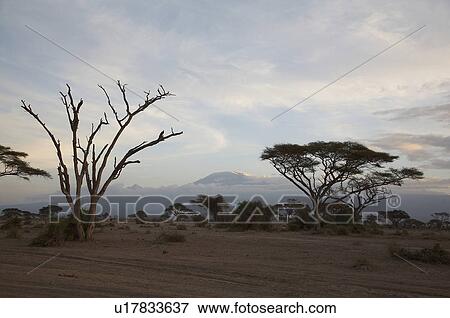 Stock Photo -  kenya landscape mount amboseli national park sub. Fotosearch