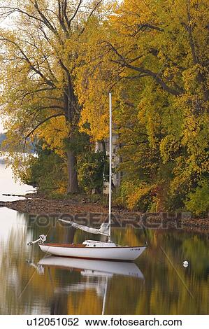 leaf alburgh in lake champlain islands vt alburg View Large Photo Image Stock Image - leaf alburgh in lake champlain islands vt alburg . Fotosearch