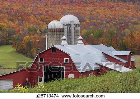 Picture -  leaf farm in fairfield vt vermont autumn fall . Fotosearch
