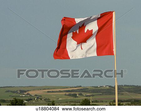 leaf red white flapping flying wind breeze farm View Large Photo Image Picture - leaf red white flapping flying wind breeze farm. Fotosearch