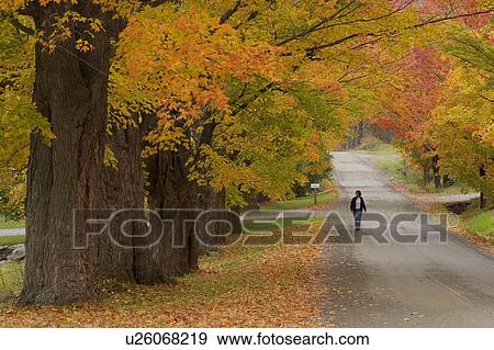 Stock Photo -  leaf taking walk in fairfield vt . Fotosearch