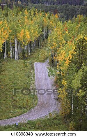 Stock Image -  logging road through mountains in autumn fall. Fotosearch