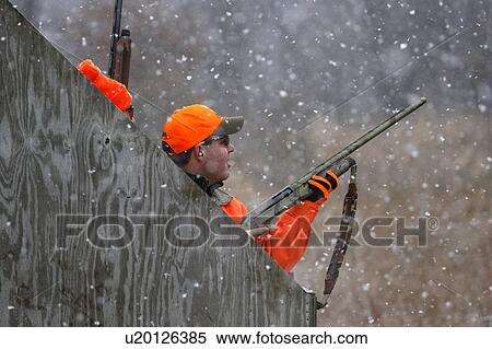 man bird hunter waiting in blind snowstorm blaze View Large Photo Image Stock Photography - man bird hunter waiting in blind snowstorm blaze . Fotosearch
