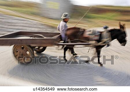 Stock Photo -  man male driving donkey pulling cart down road . Fotosearch