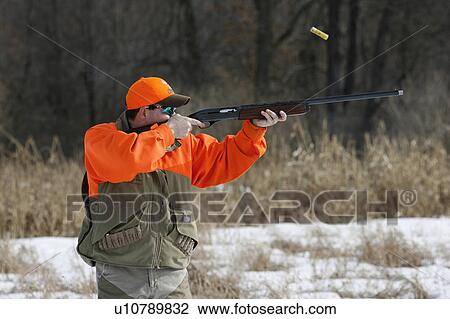 Stock Image -  man upland bird hunter shooting shotgun male man. Fotosearch