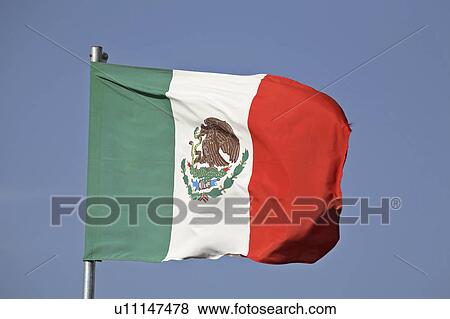 Stock Photo -  mexican hispanic flag in wind blown mexican . Fotosearch