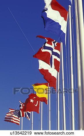 money symbol europa eu eus euro european flag View Large Photo Image Stock Photo - money symbol europa eu eus euro european flag. Fotosearch