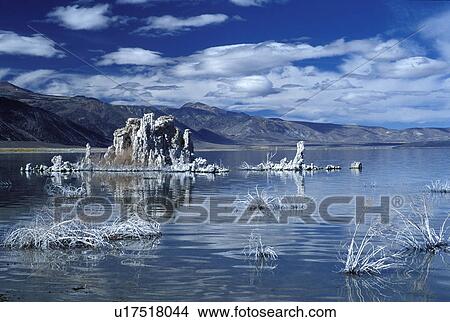 Picture -  mono lake south tufa area tufas lee ca mono lake. Fotosearch