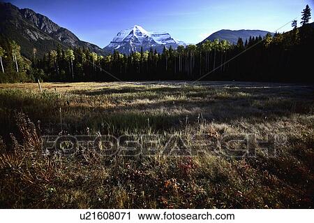 mount robson in beautiful british columbia rocky View Large Photo Image Stock Image - mount robson in beautiful british columbia rocky. Fotosearch