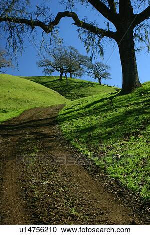 nature bliss blissful bucolic calm calmness road View Large Photo Image Stock Image - nature bliss blissful bucolic calm calmness road. Fotosearch