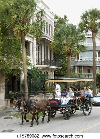 people america animals battery charleston buggy View Large Photo Image Stock Image - people america animals battery charleston buggy. Fotosearch