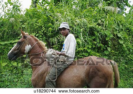 people horse man person fiji taveuni pacific View Large Photo Image Picture - people horse man person fiji taveuni pacific. Fotosearch