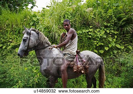 people horse person fiji boy taveuni pacific View Large Photo Image Stock Image - people horse person fiji boy taveuni pacific. Fotosearch
