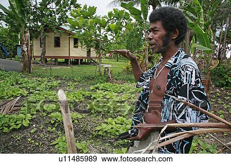 people person fiji bill kusitini garden lavena View Large Photo Image Stock Photo - people person fiji bill kusitini garden lavena . Fotosearch