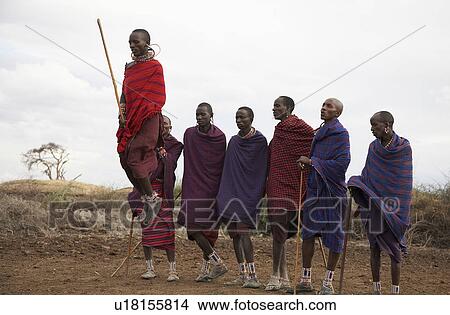 people person kenya masai men dancing jumping in View Large Photo Image Picture - people person kenya masai men dancing jumping in. Fotosearch