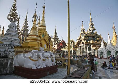 people person myanmar shwedagon paya pagoda view View Large Photo Image Stock Image - people person myanmar shwedagon paya pagoda view. Fotosearch