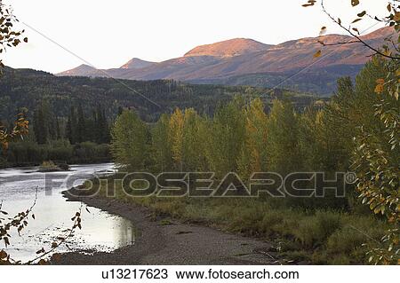 Stock Image -  pine river in scenic alberta trees forest. Fotosearch