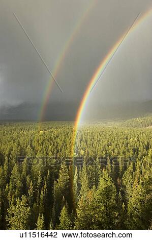 Stock Image -  rainbow in mountains jasper national park canada. Fotosearch