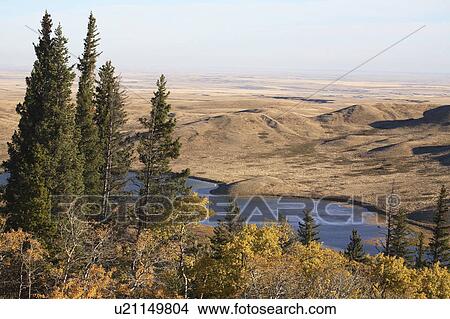 Picture -  reesor lake alberta in fall autumn leaves aspen. Fotosearch