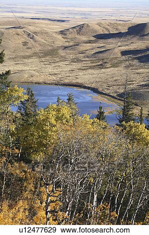 reesor lake alberta in fall autumn leaves aspen View Large Photo Image Stock Photo - reesor lake alberta in fall autumn leaves aspen. Fotosearch